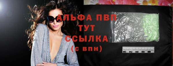 гидра Покачи