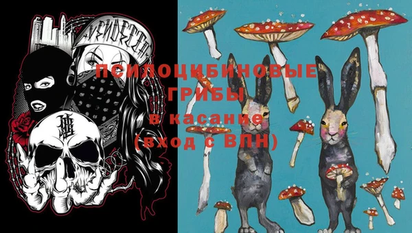 гидра Покачи