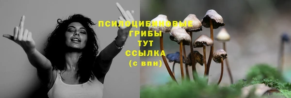 гидра Покачи