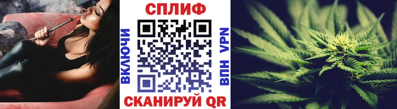 Бошки марихуана SATIVA & INDICA  Купить закладки  Майкоп 